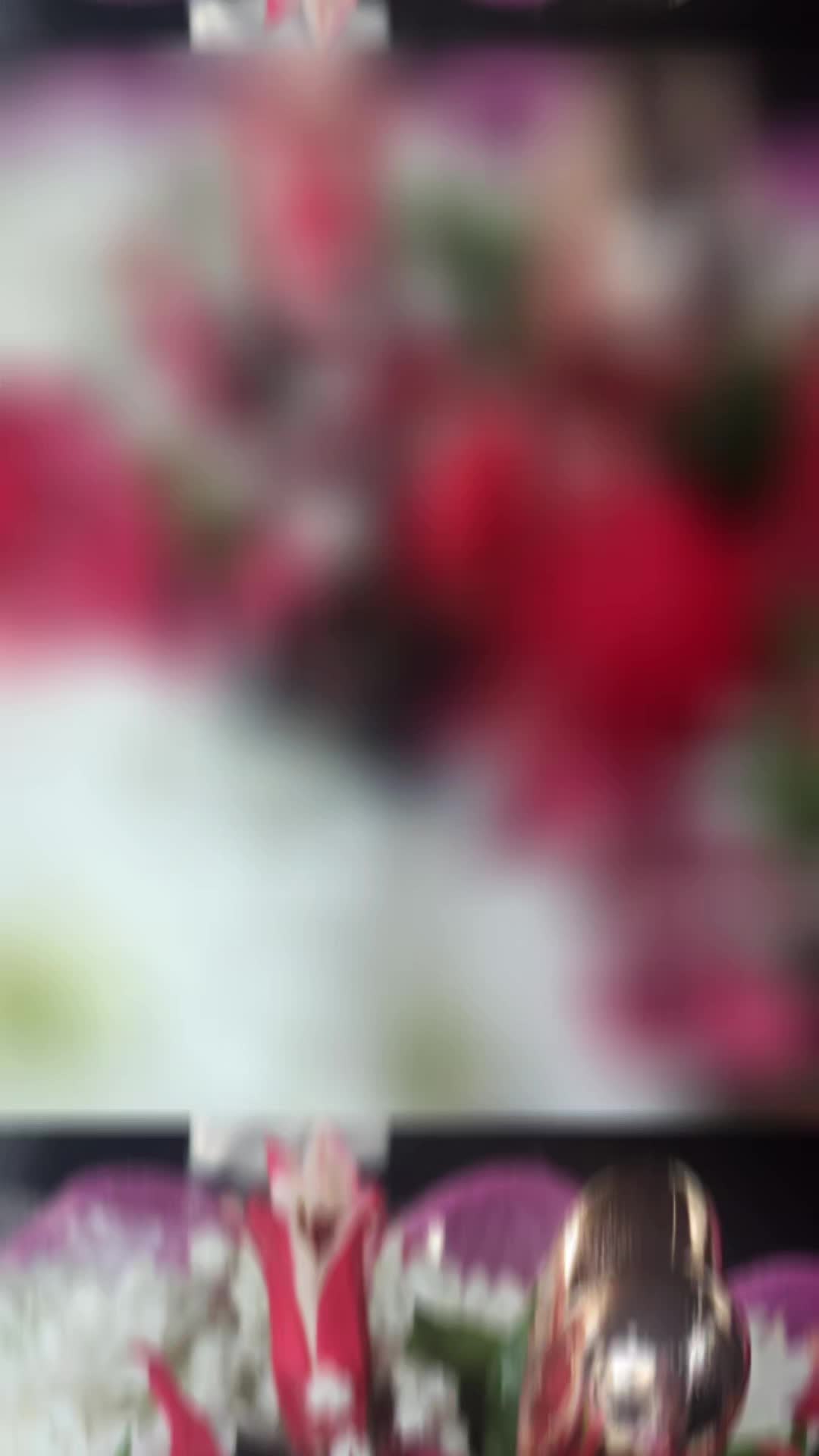 @hmsfr🫶