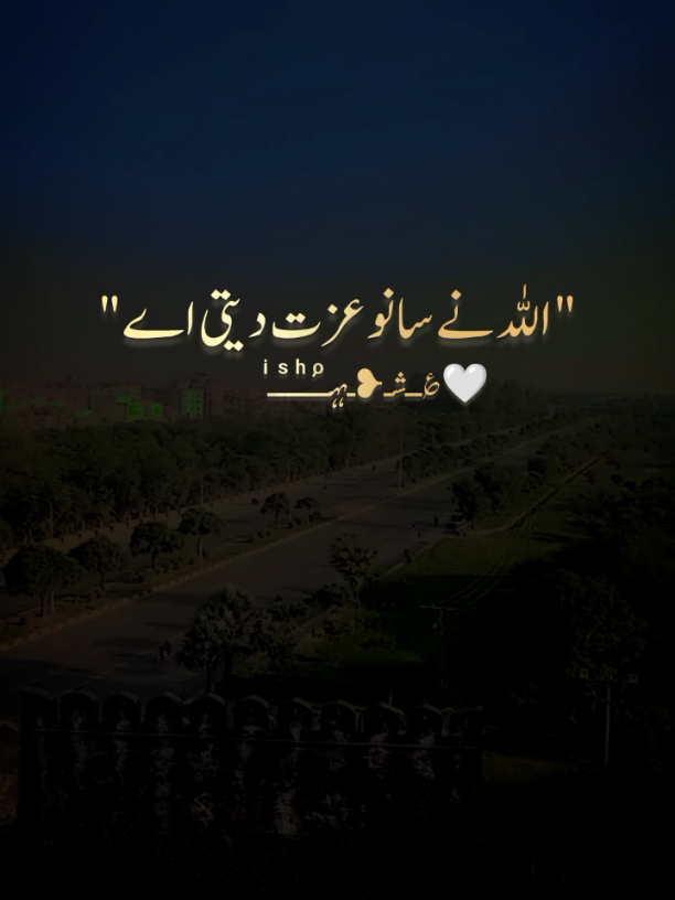 @malik pahlaaj