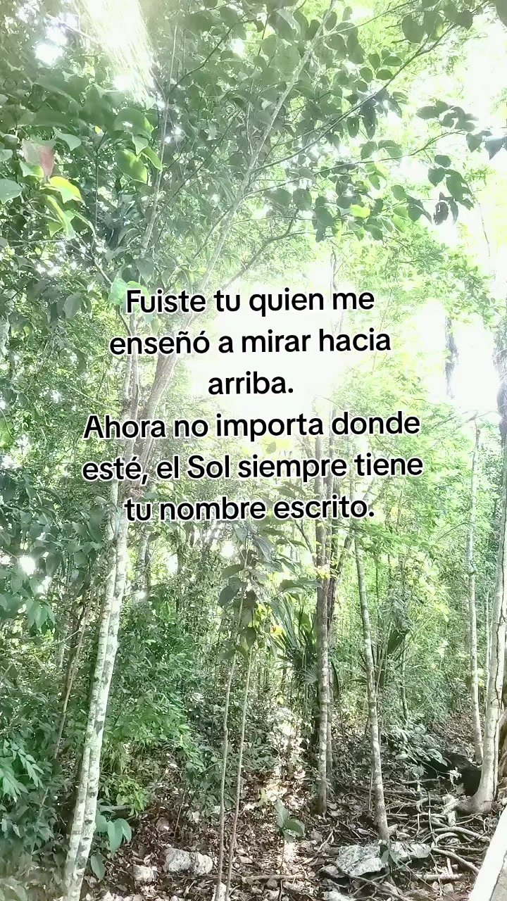 @viikyrs