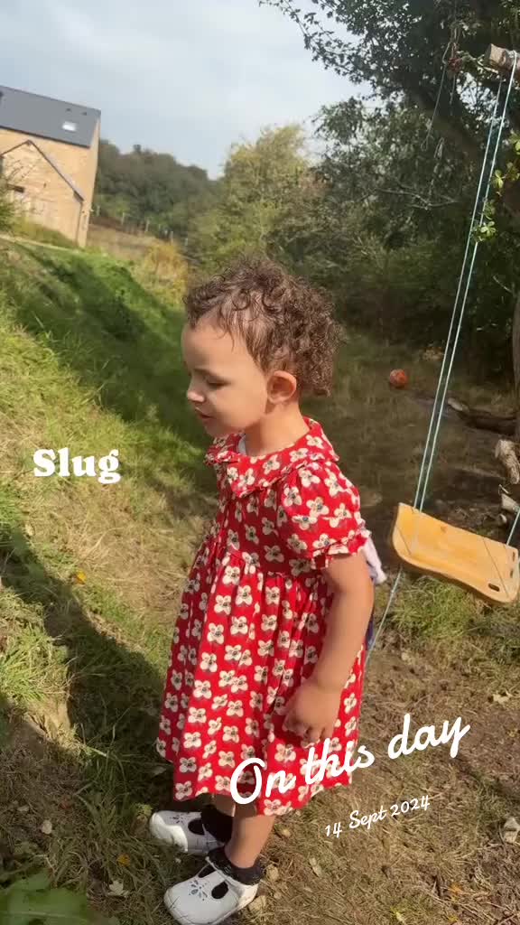 @shakethatoad
