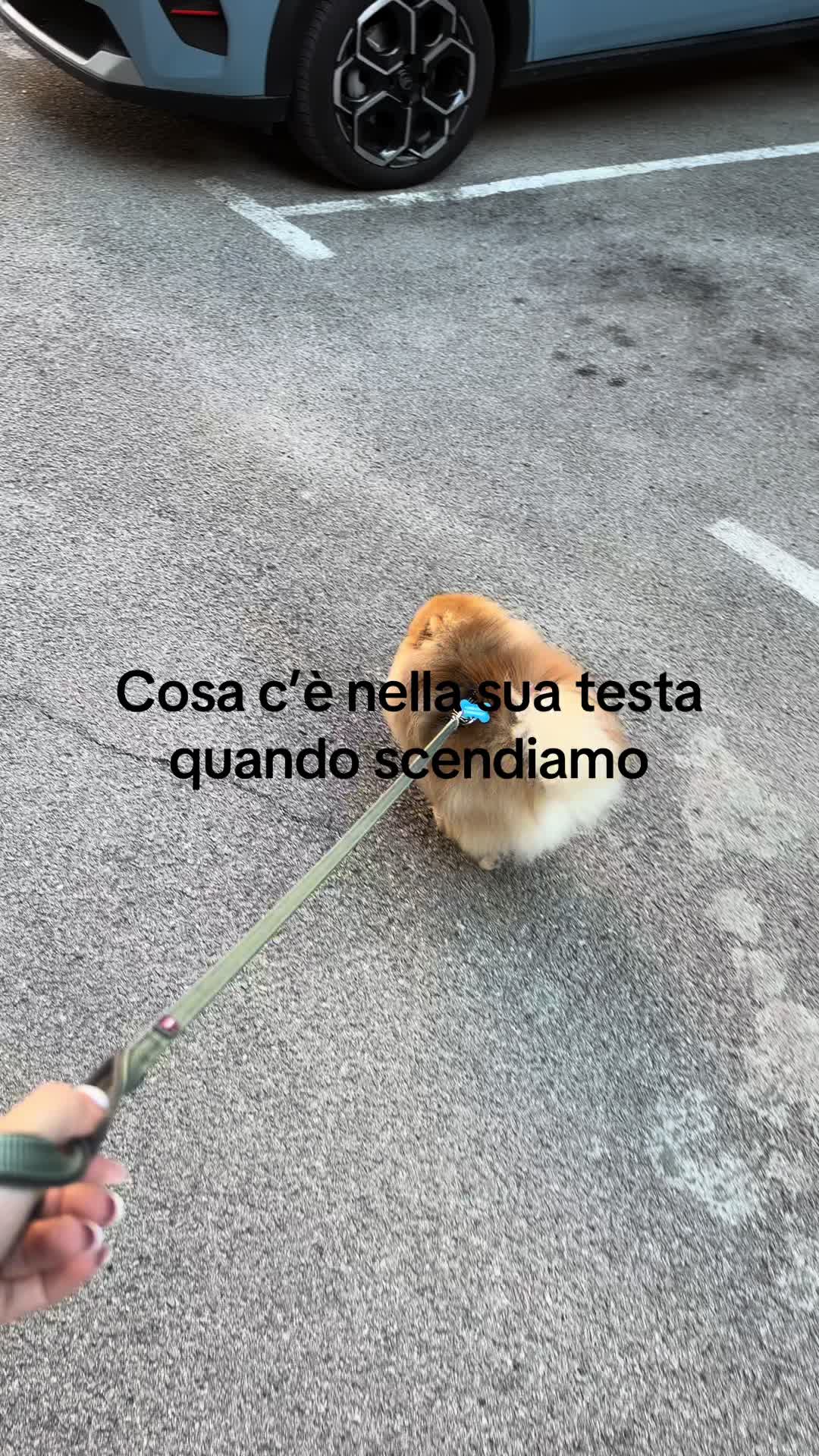 @Sabrina Lo Piccolo