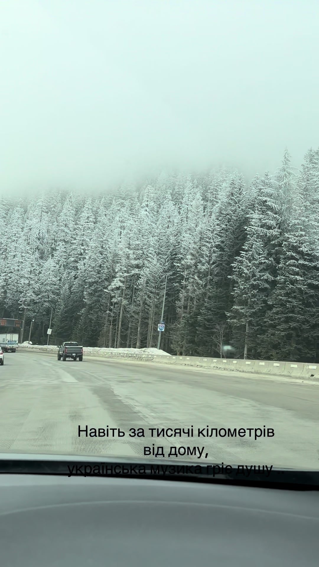 @Светлана Грицан