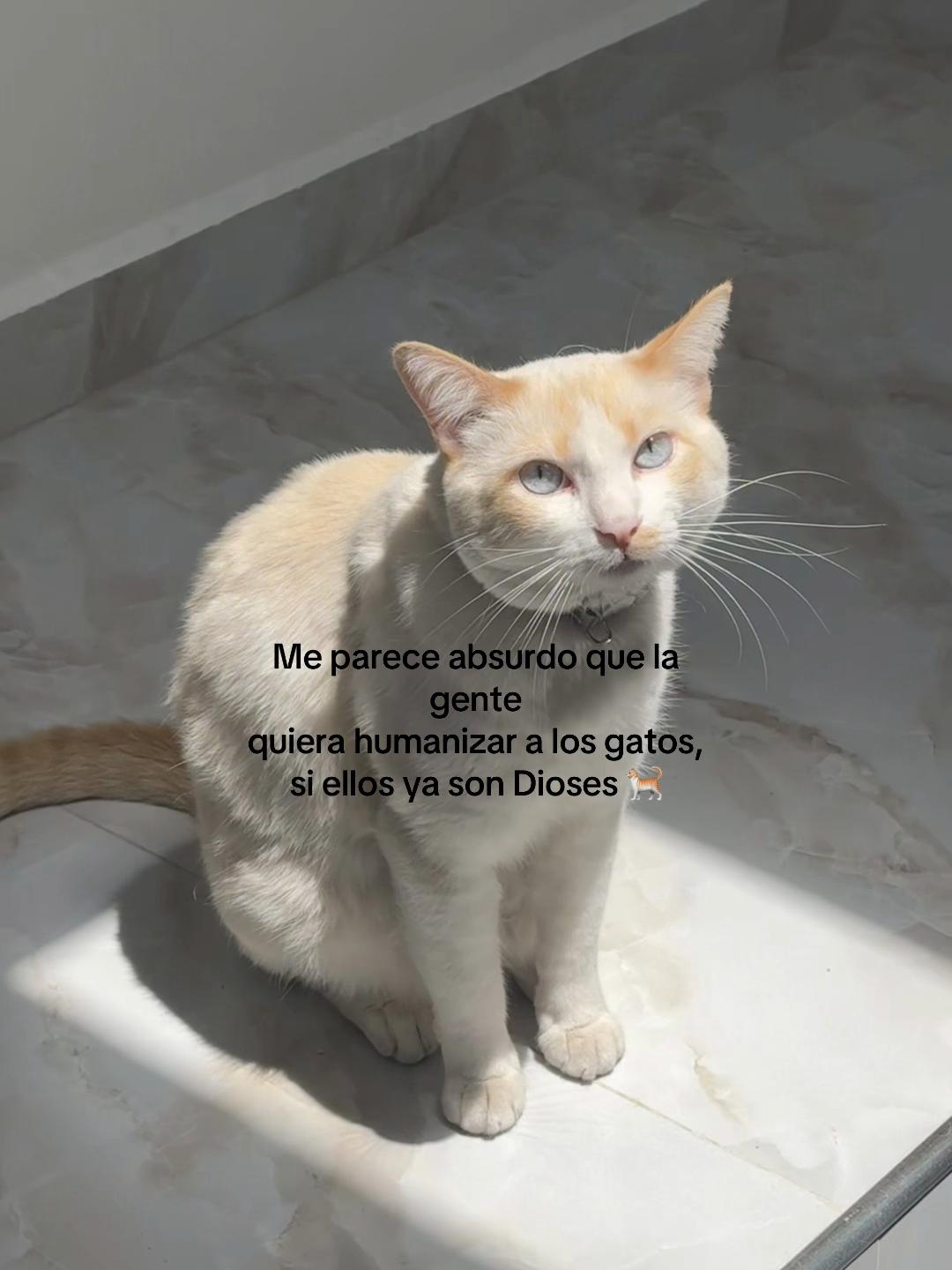 @Lau.R2