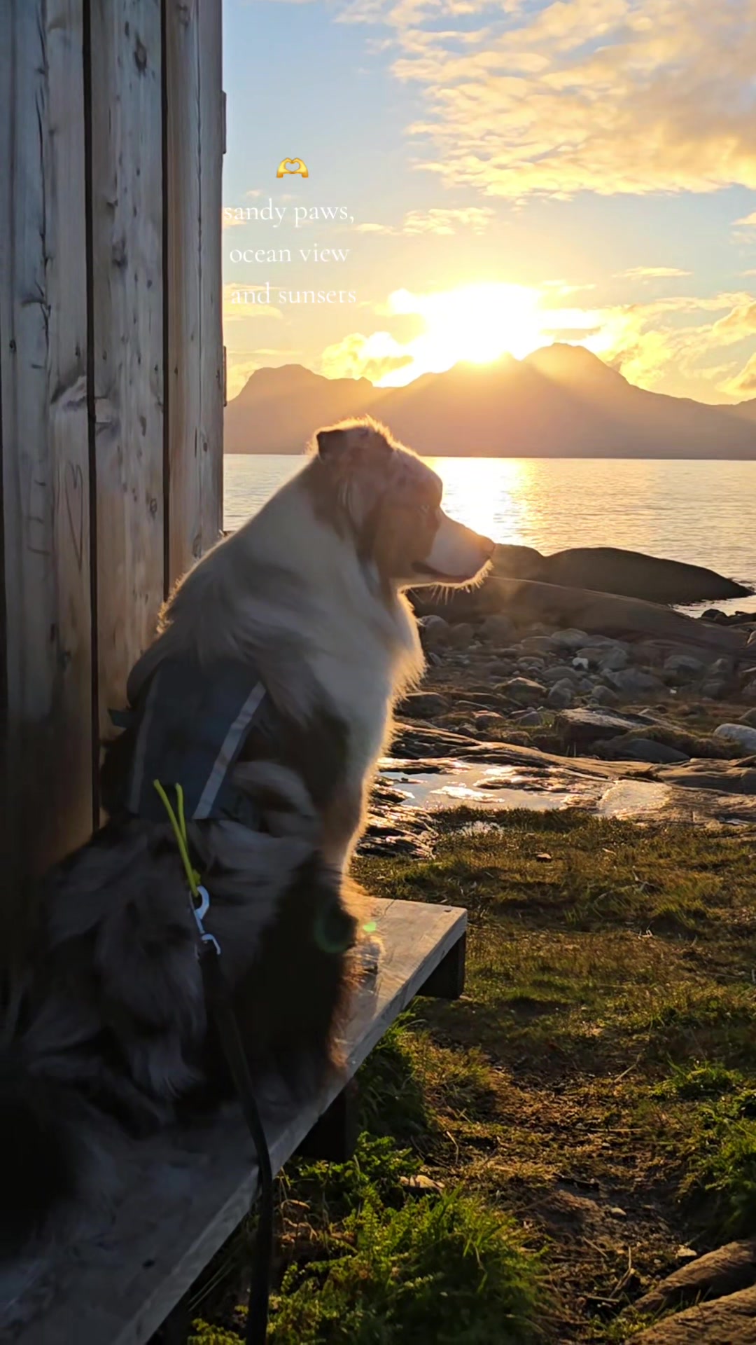 @mr.montytheaussie