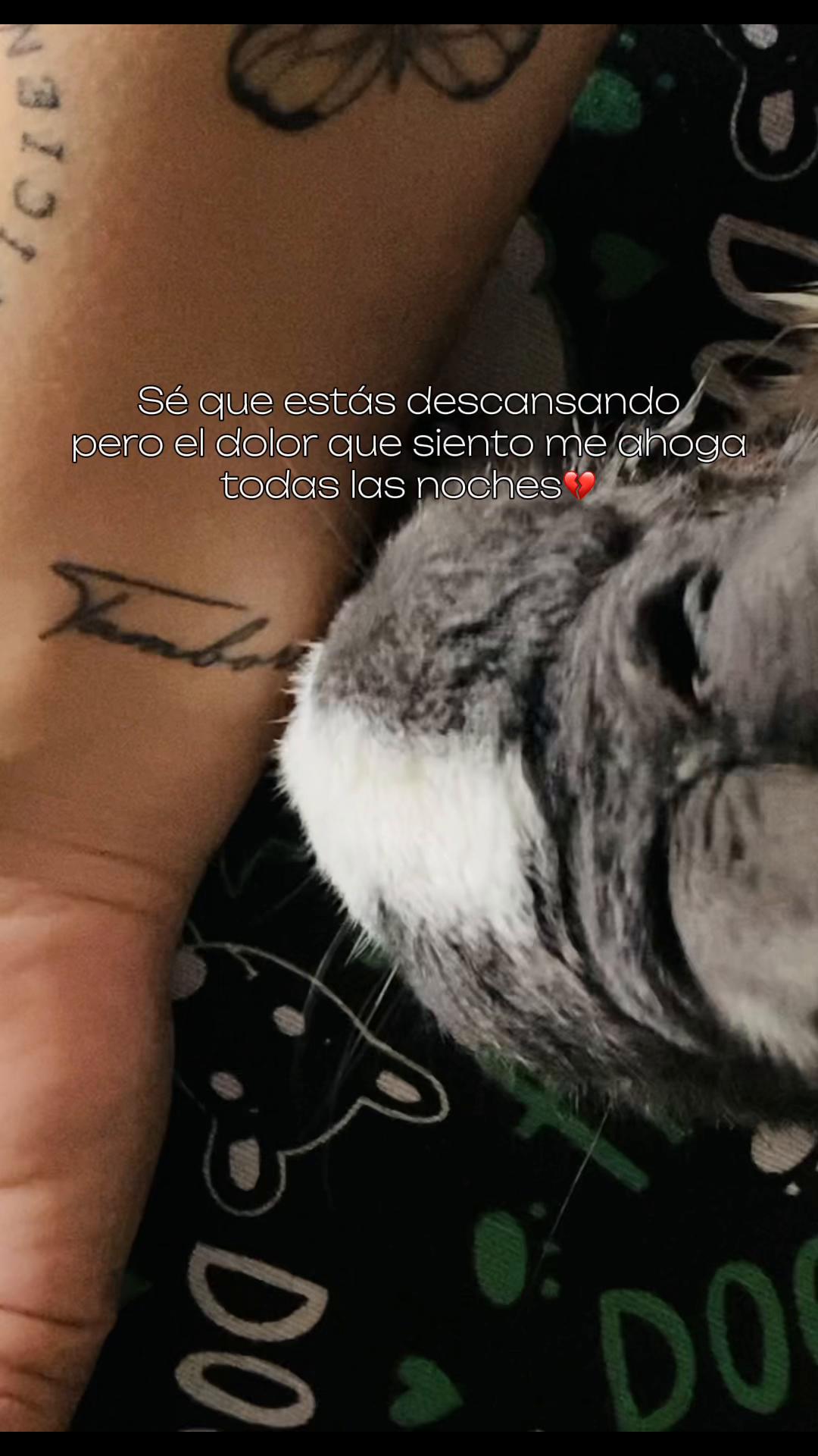 @Natalia bou 💜