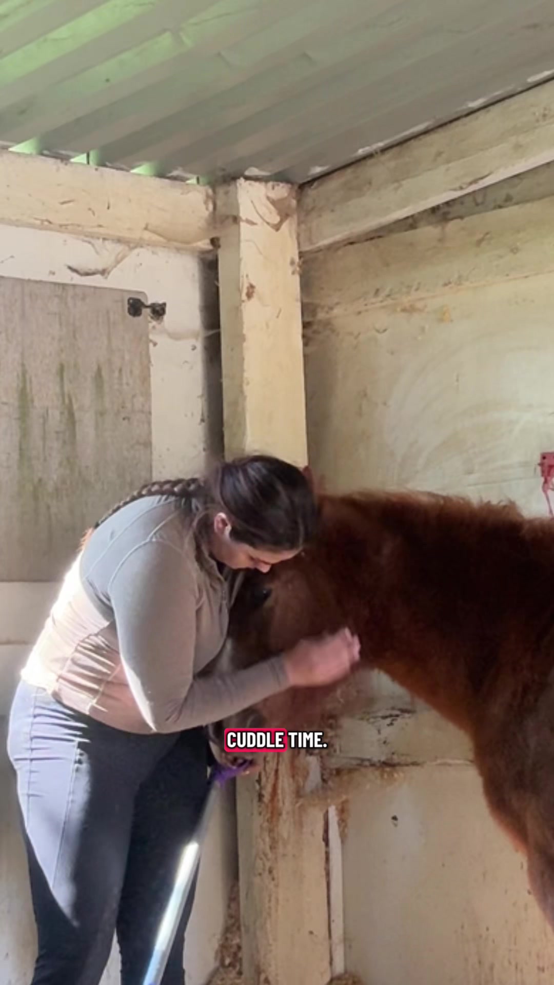 @Charlotte.Equestrian