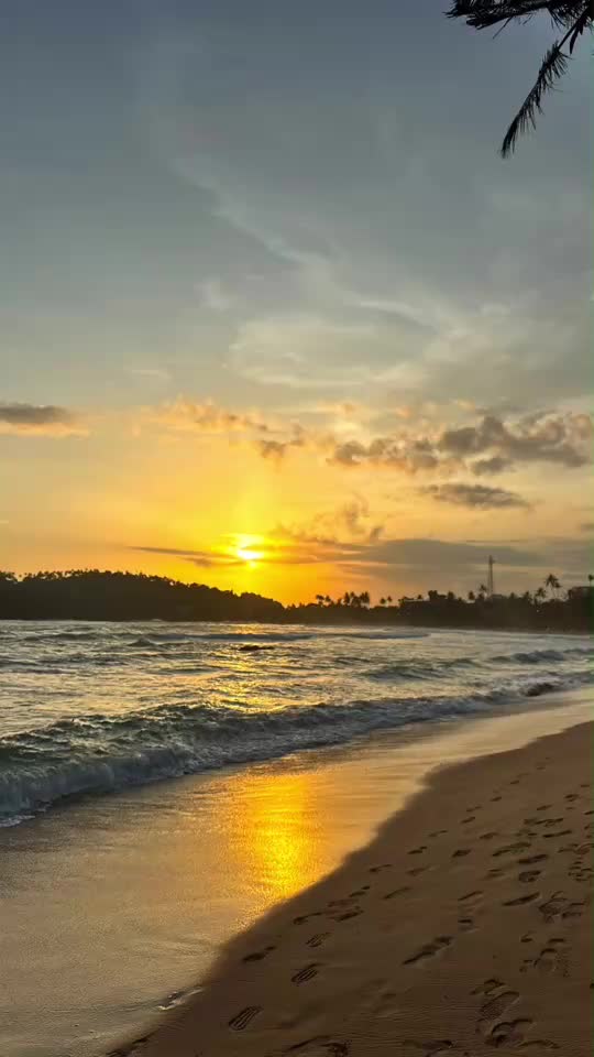 @Beast Travels