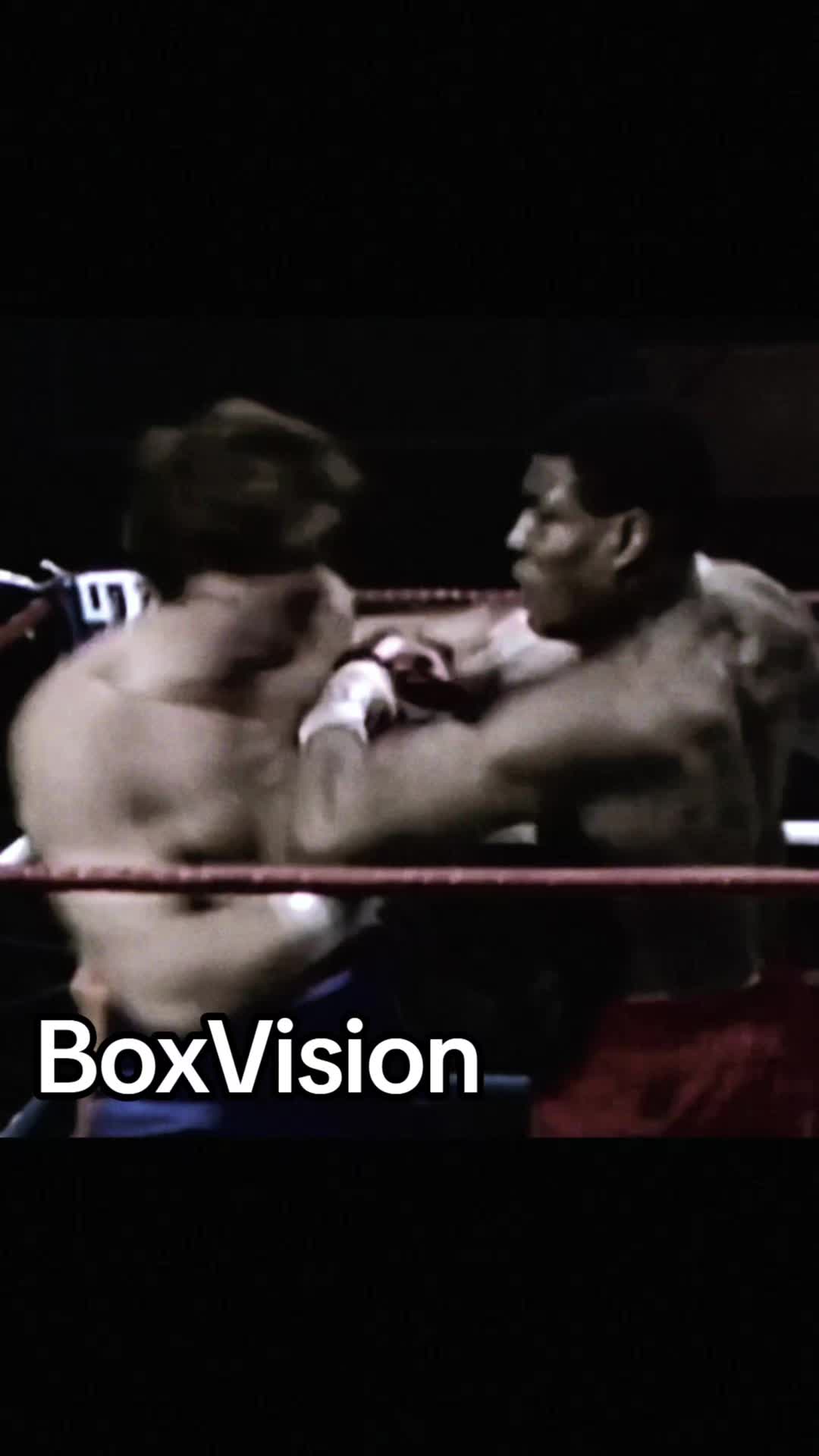 @BoxVision