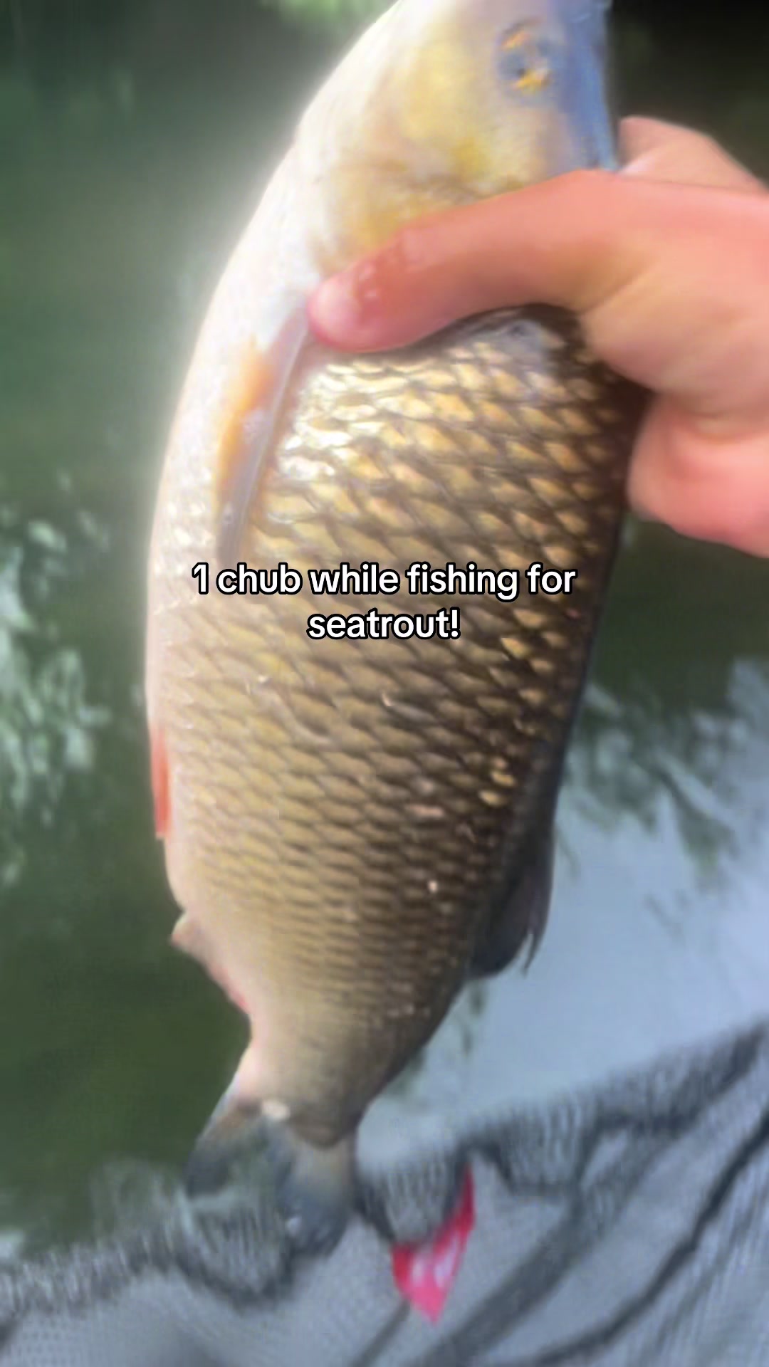 @kh.angling