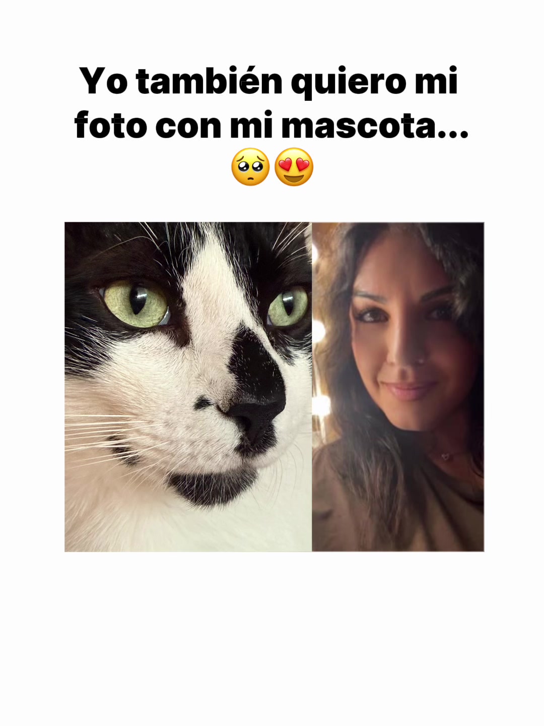 @Lallaspank