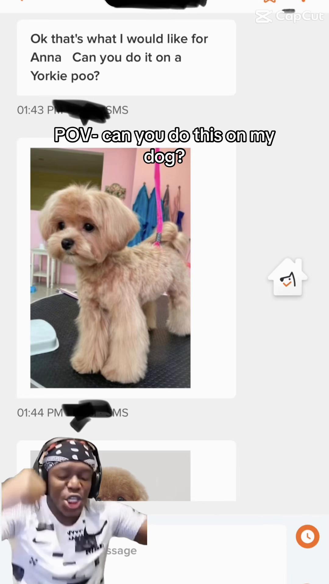 @Kelly&rsquo;s pet&rsquo;s