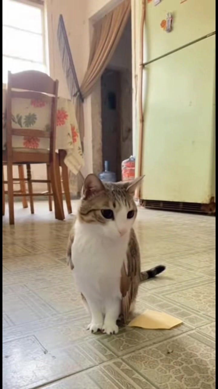 @⠀ ︎ ︎⠀ ⠀