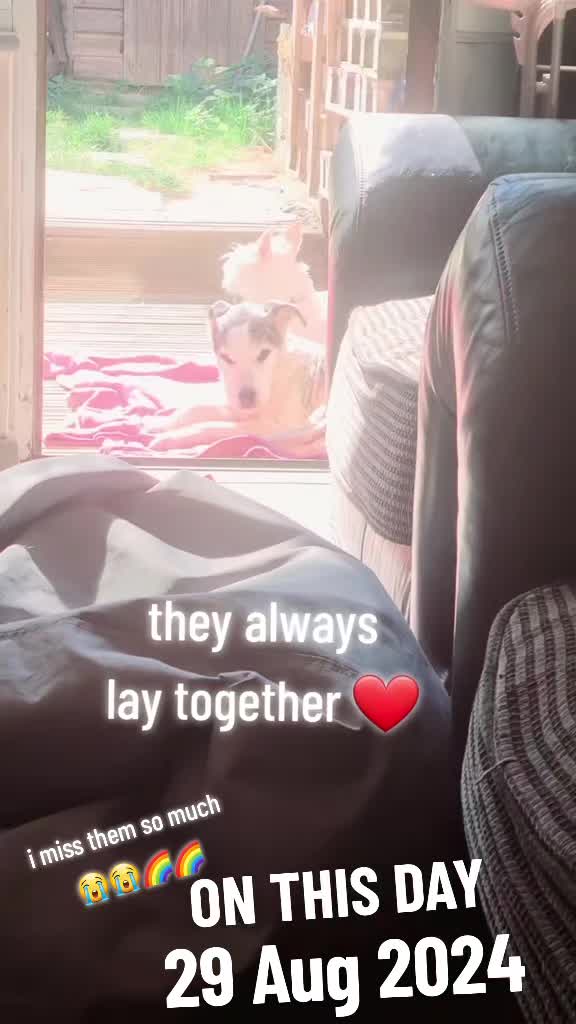 @claire🌈BellaBertErnie💙T&D