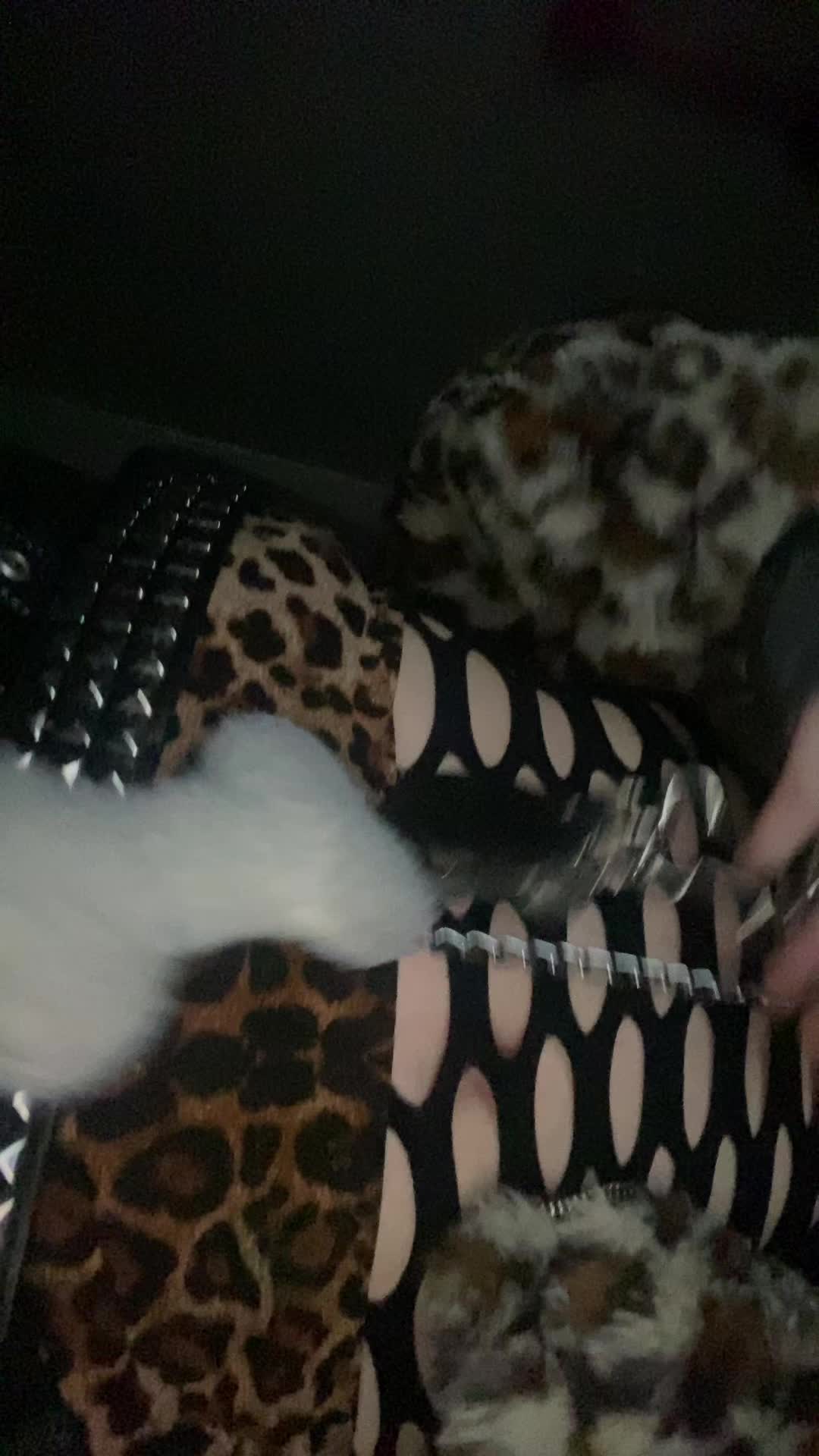 @r4venbarkz