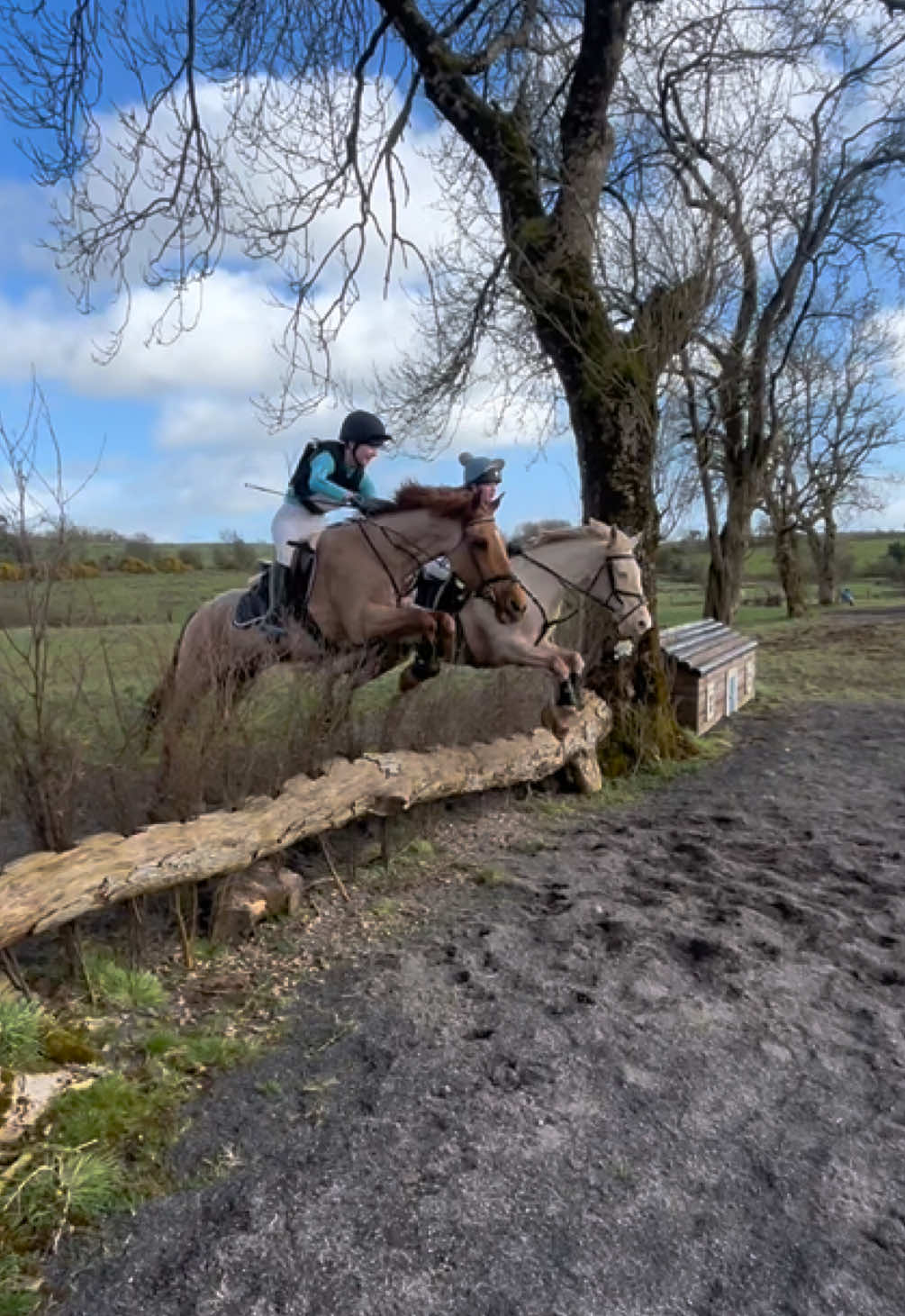 @Emma Corr 🐎