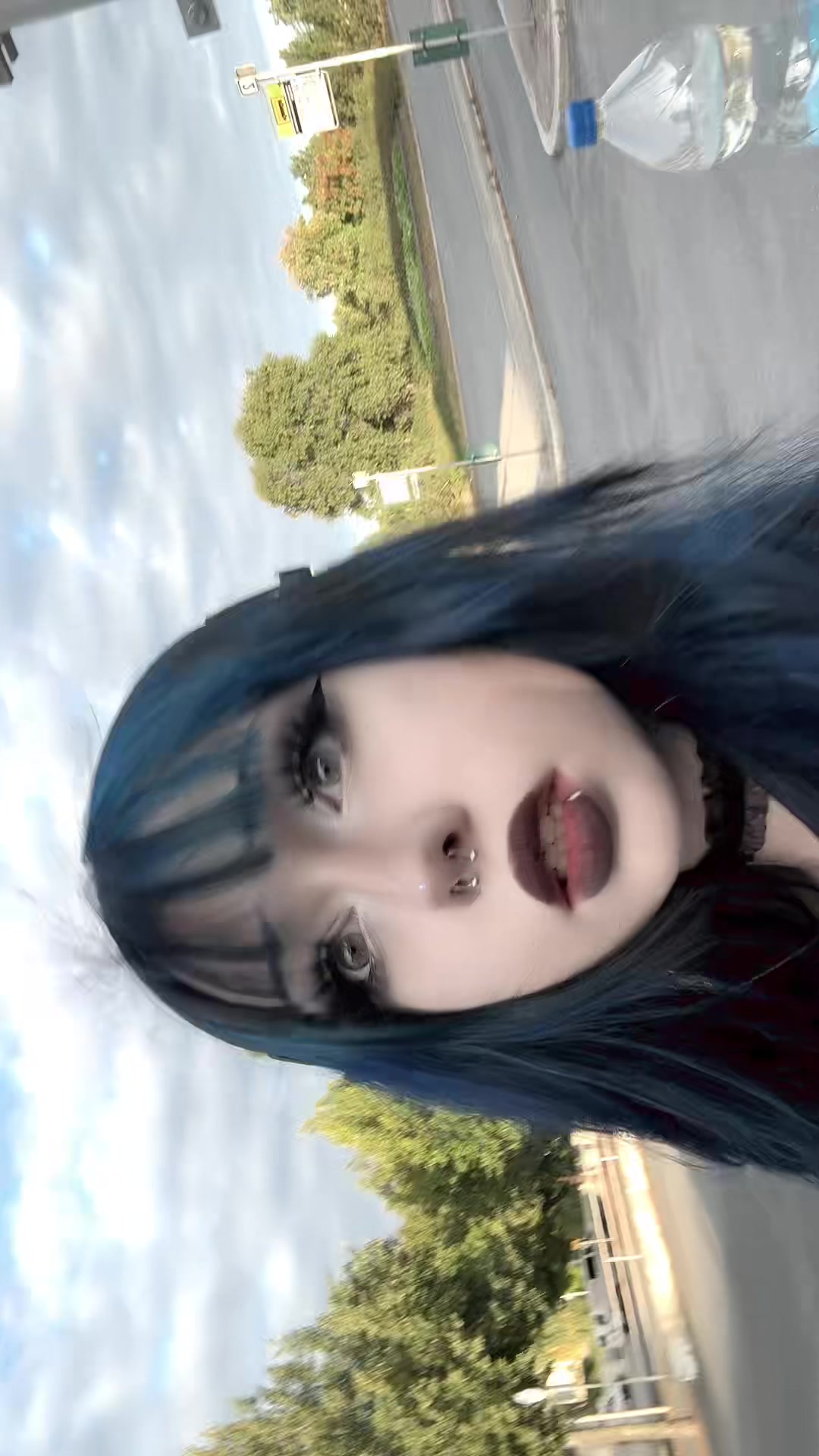 @snezbonez