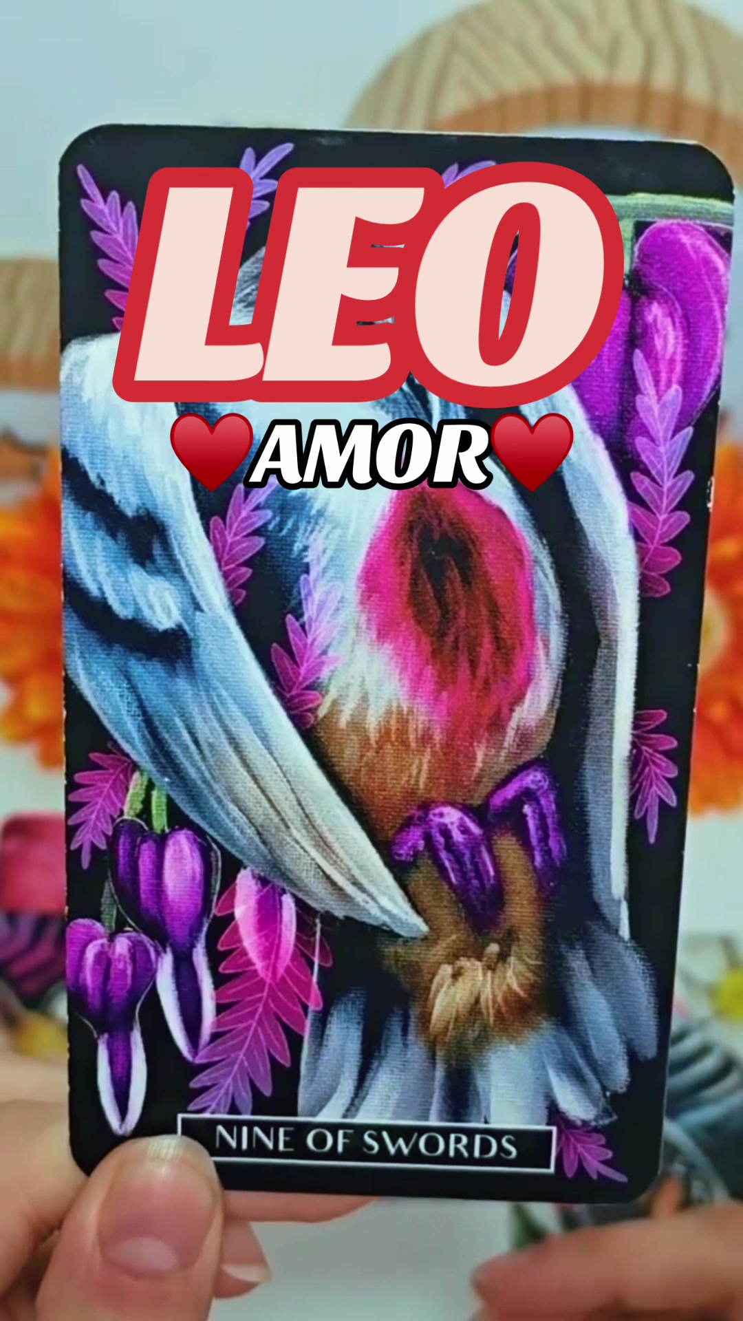 @Daniela Tarot