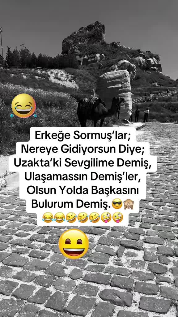 @✨🤍Ayliz_S🤍✨