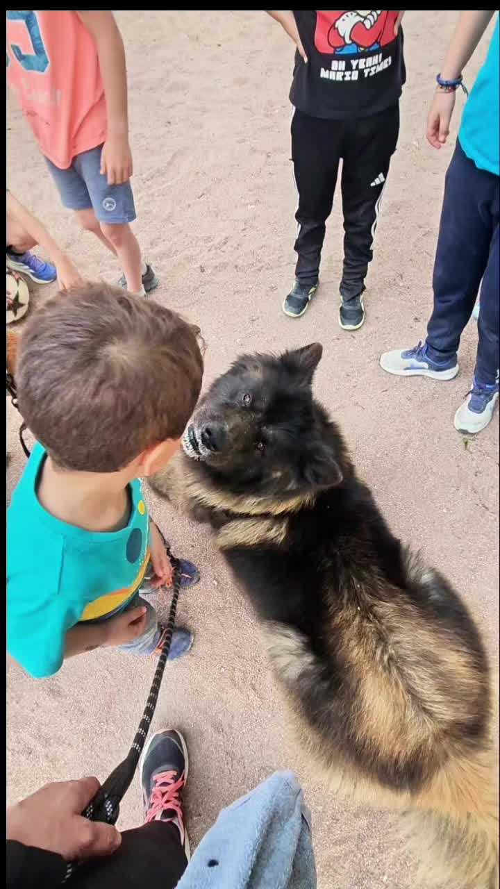 @Atila the Akita