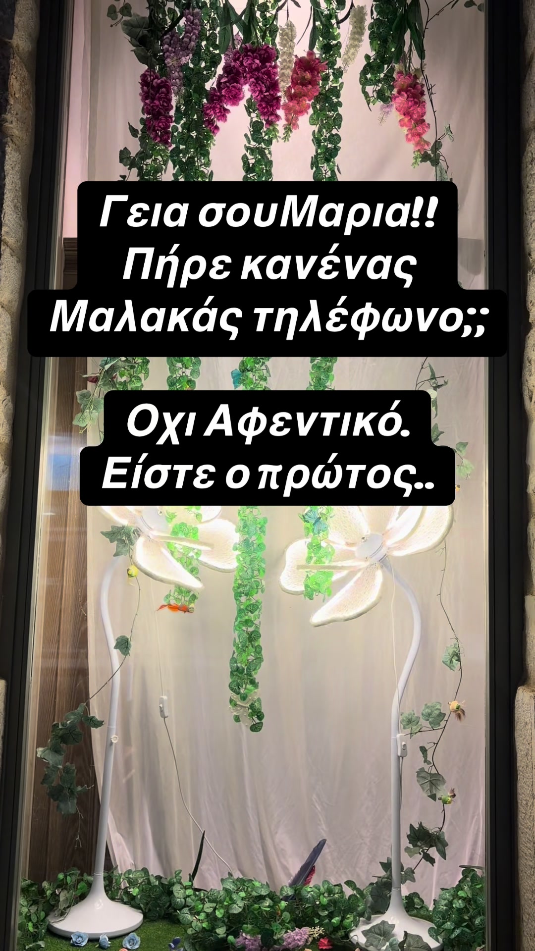 @user4128520018593Tania