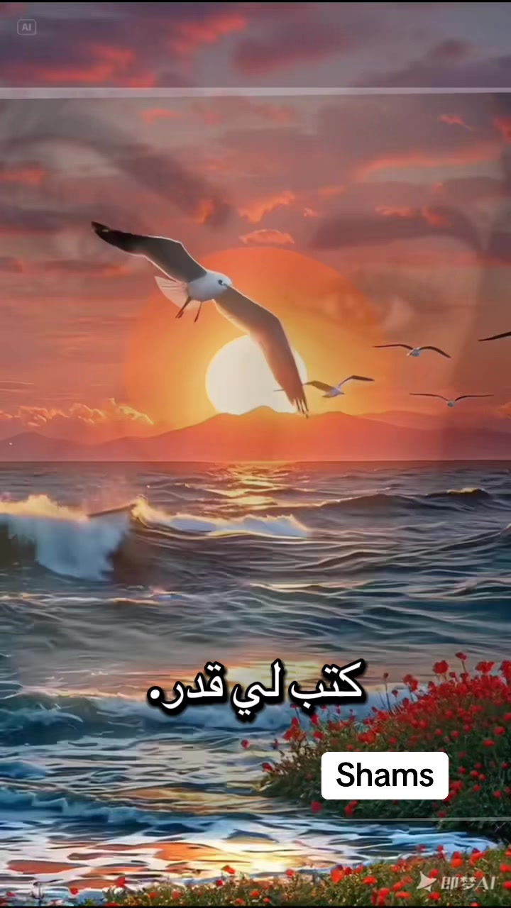 @Shams