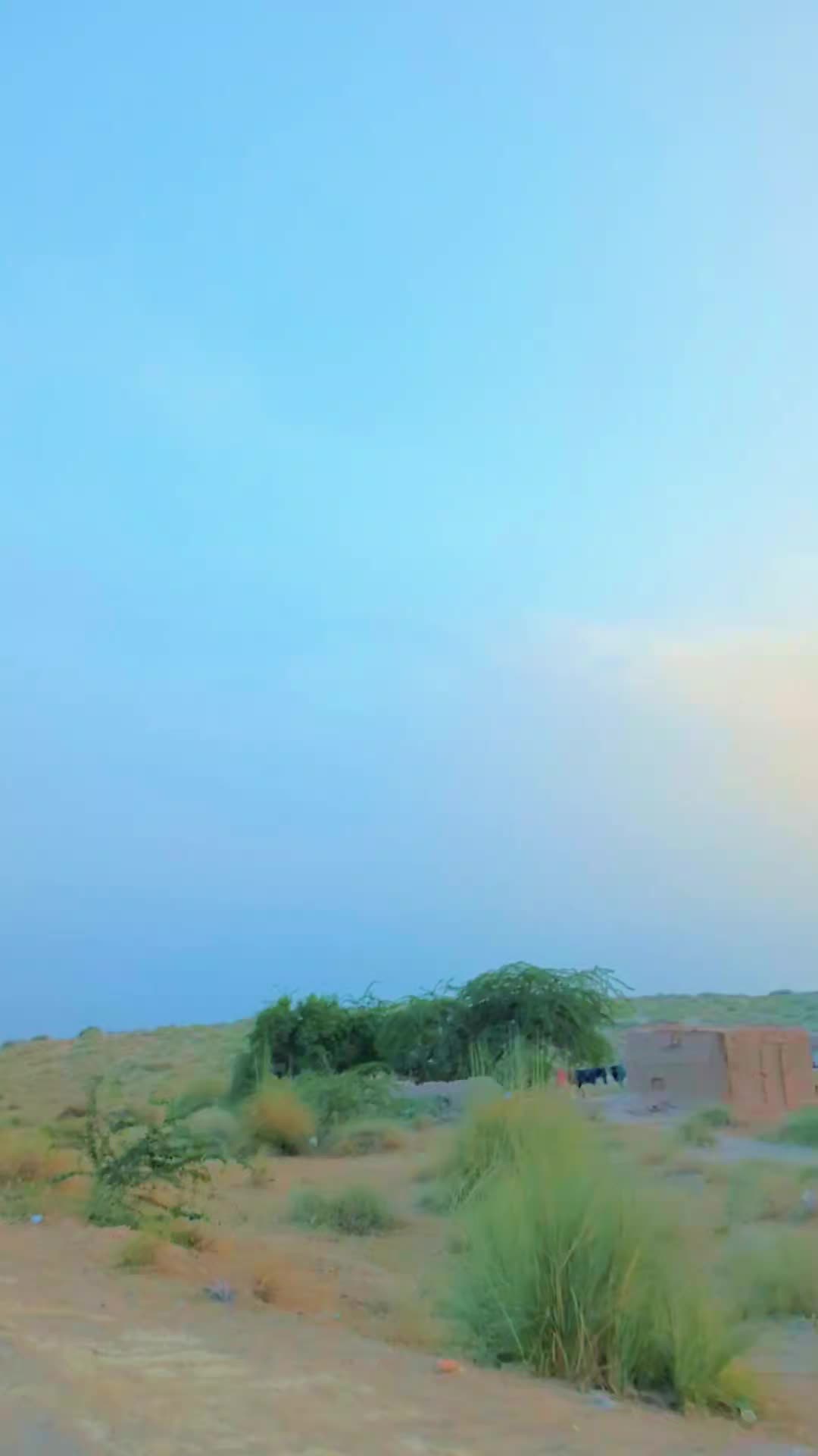 @حمزہ ضدی
