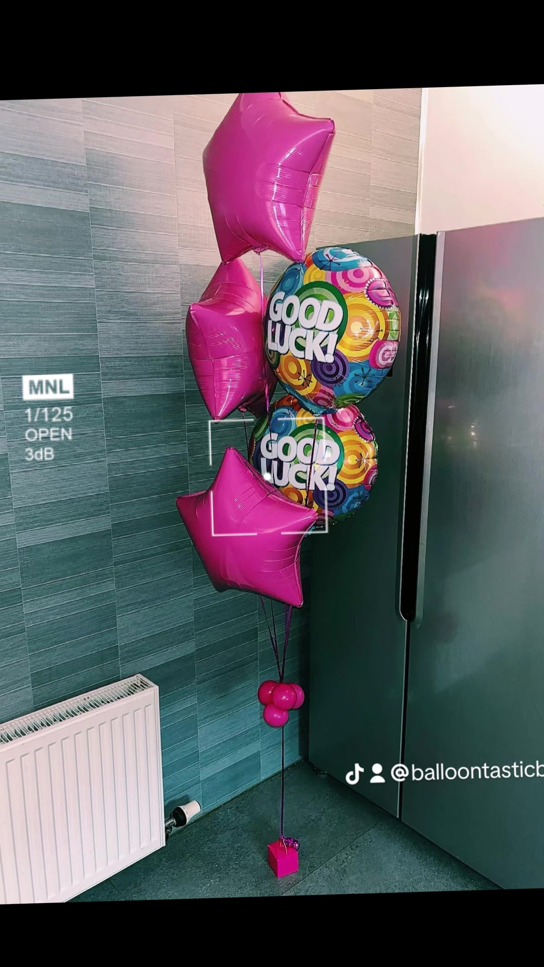 @BalloonTasticByS