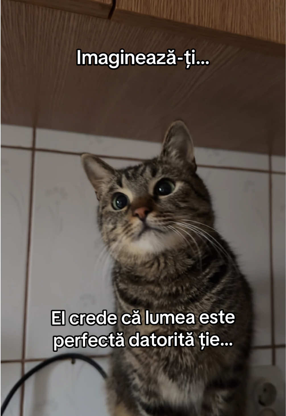 @Păcu