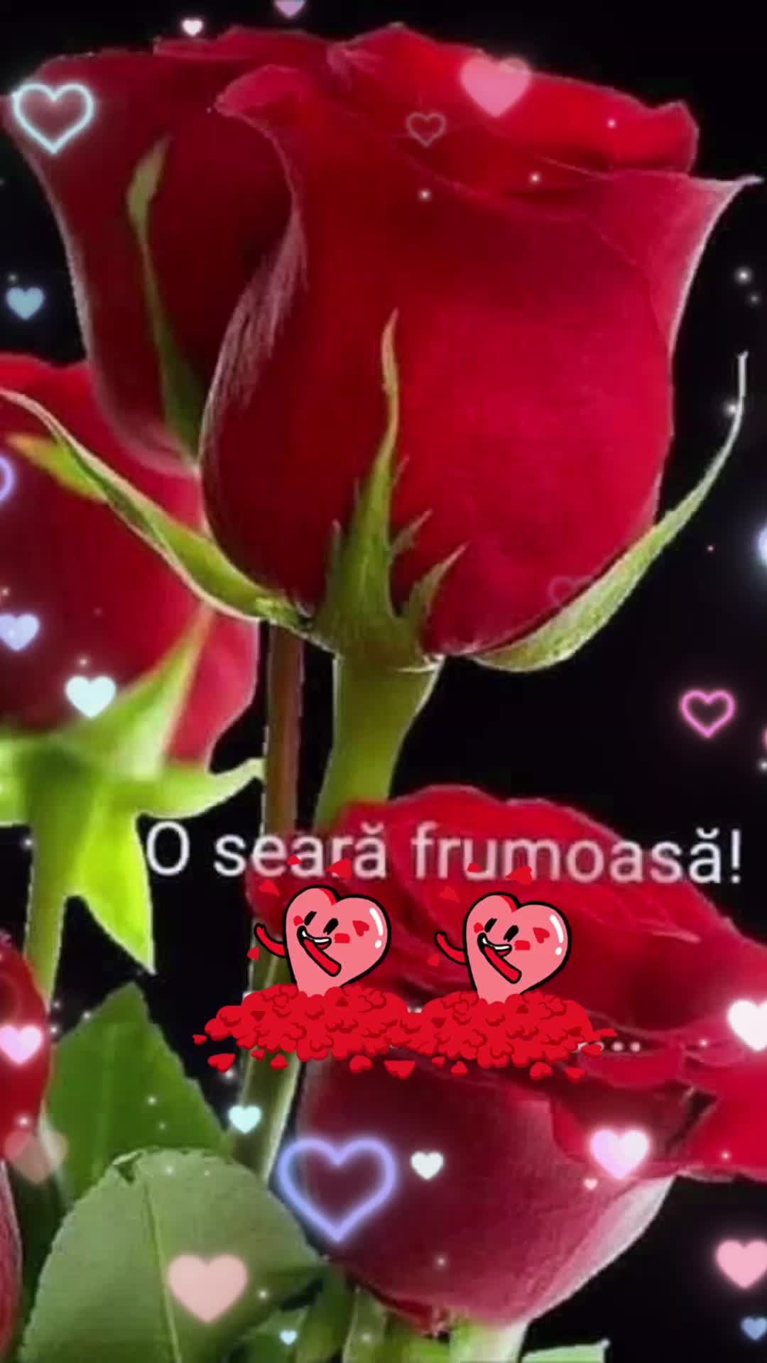 @Nicolae Iamandi Marin