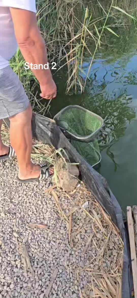 @Balta Turcoaia