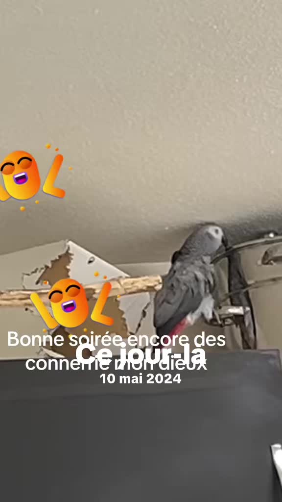 @Lamourdemondiego