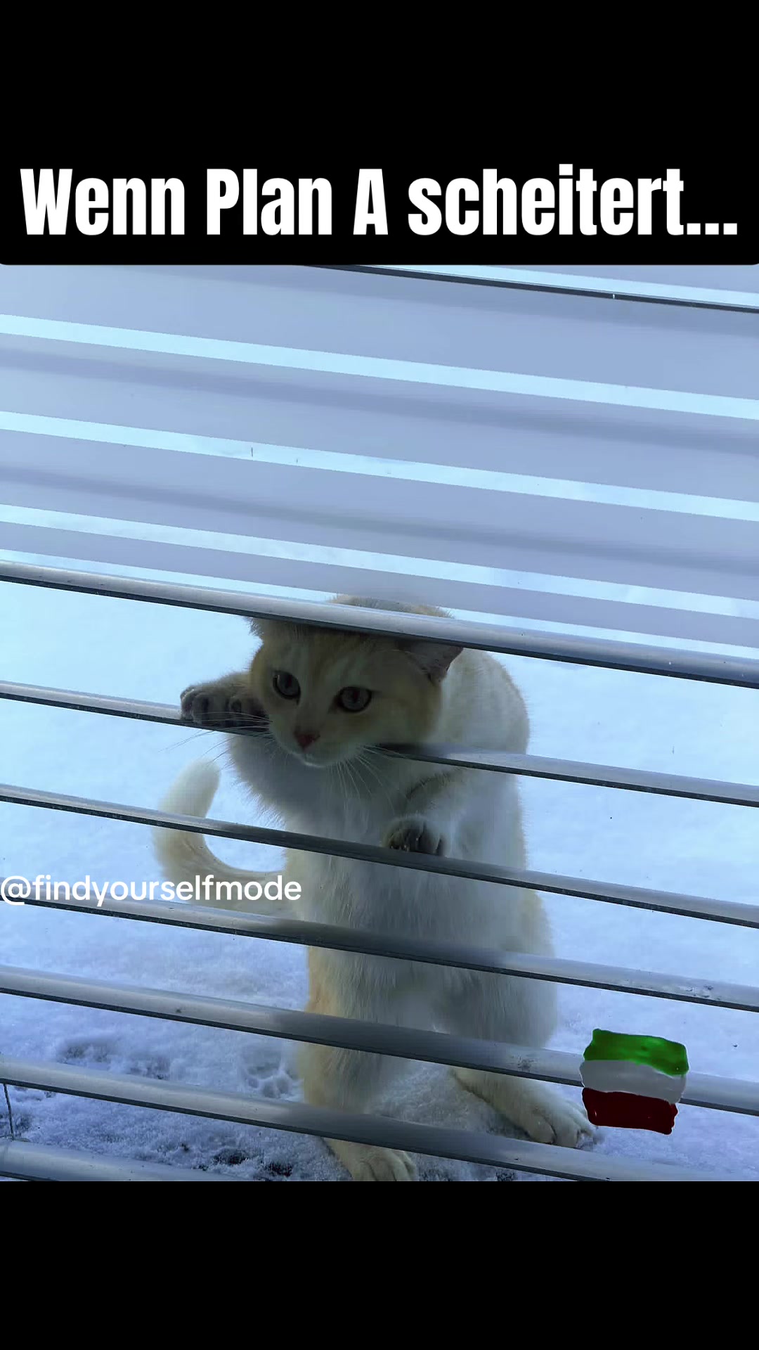 @SunnySoul
