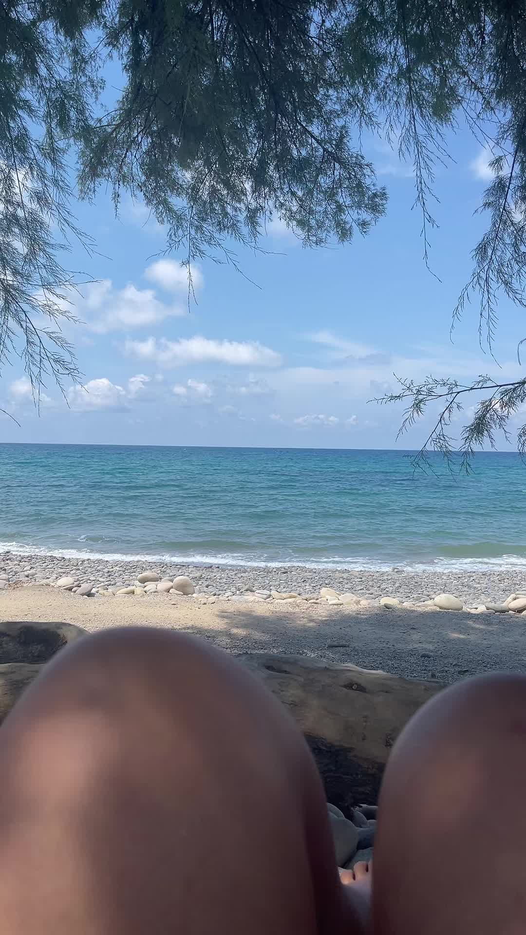 @Metamonifosis 🦋
