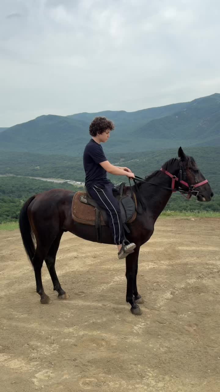 @horselek