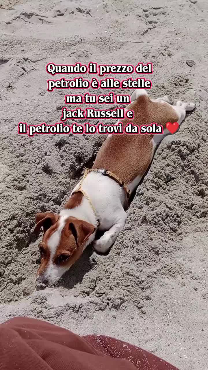 @Daniele