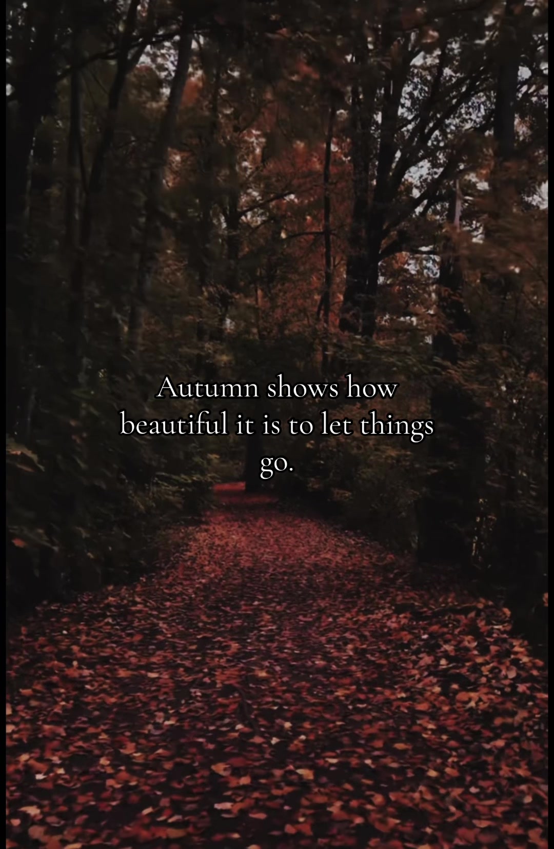 @TheRealTiktok