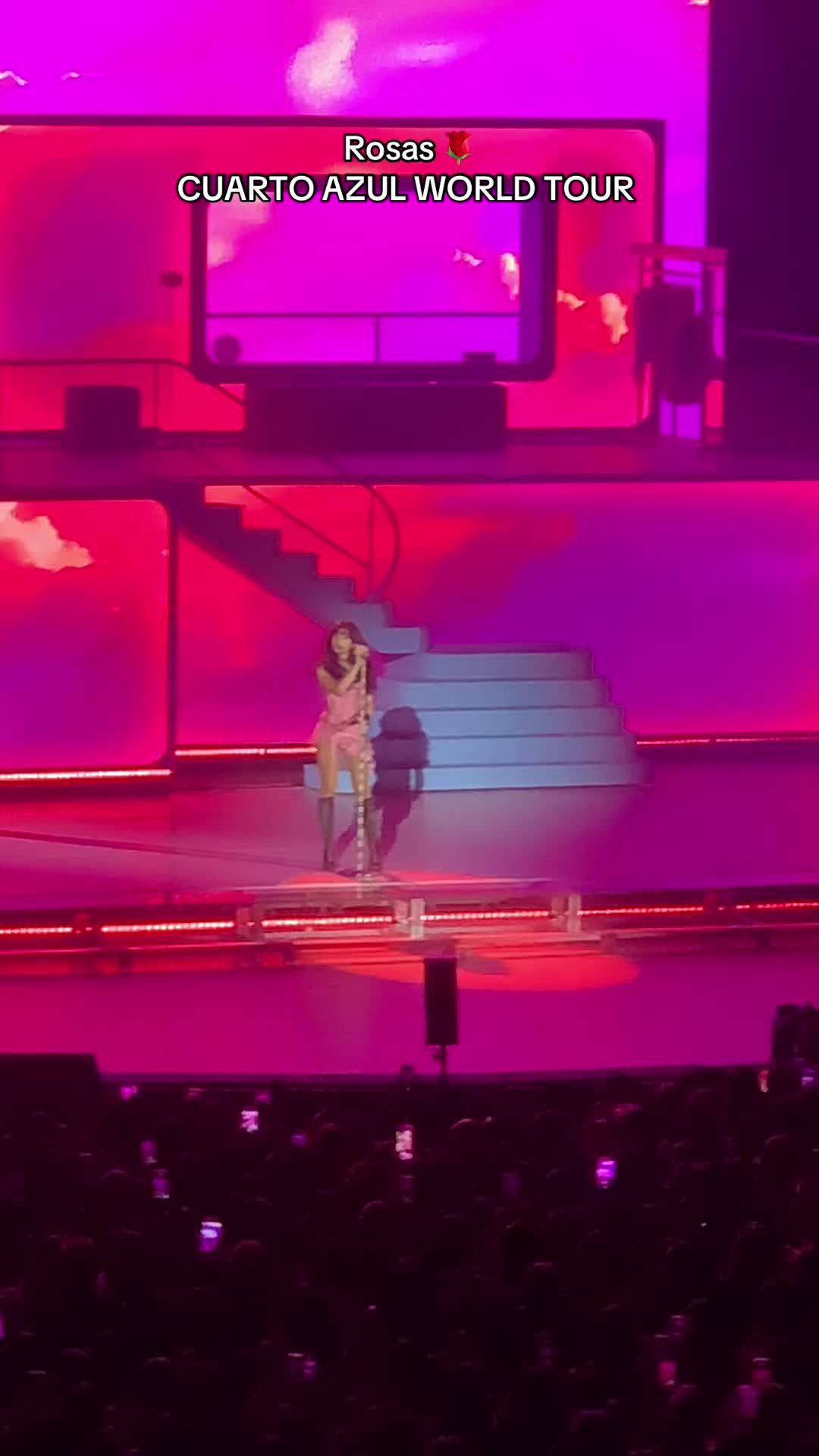 @sofiahoran🌷🌸🌺🍉🥝🪩💿🏠