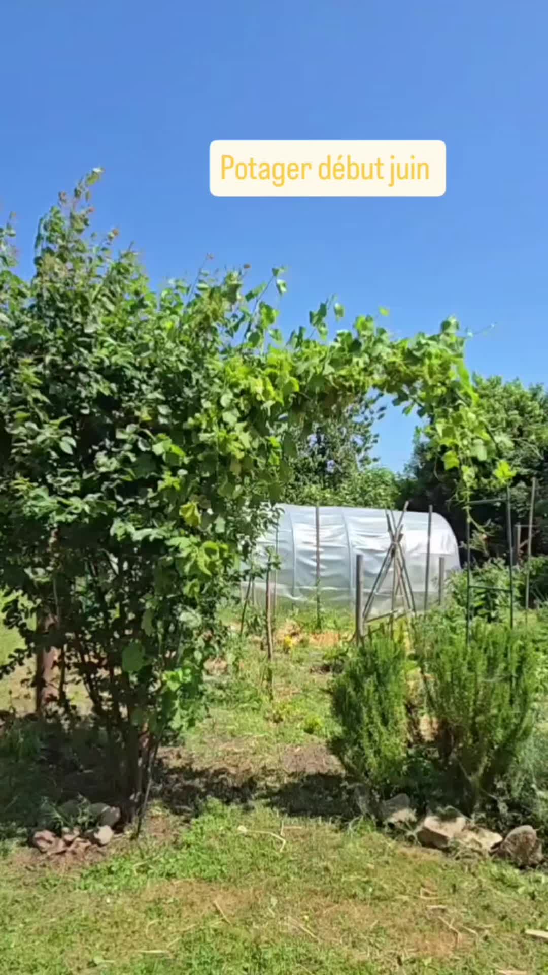@Miloune au jardin