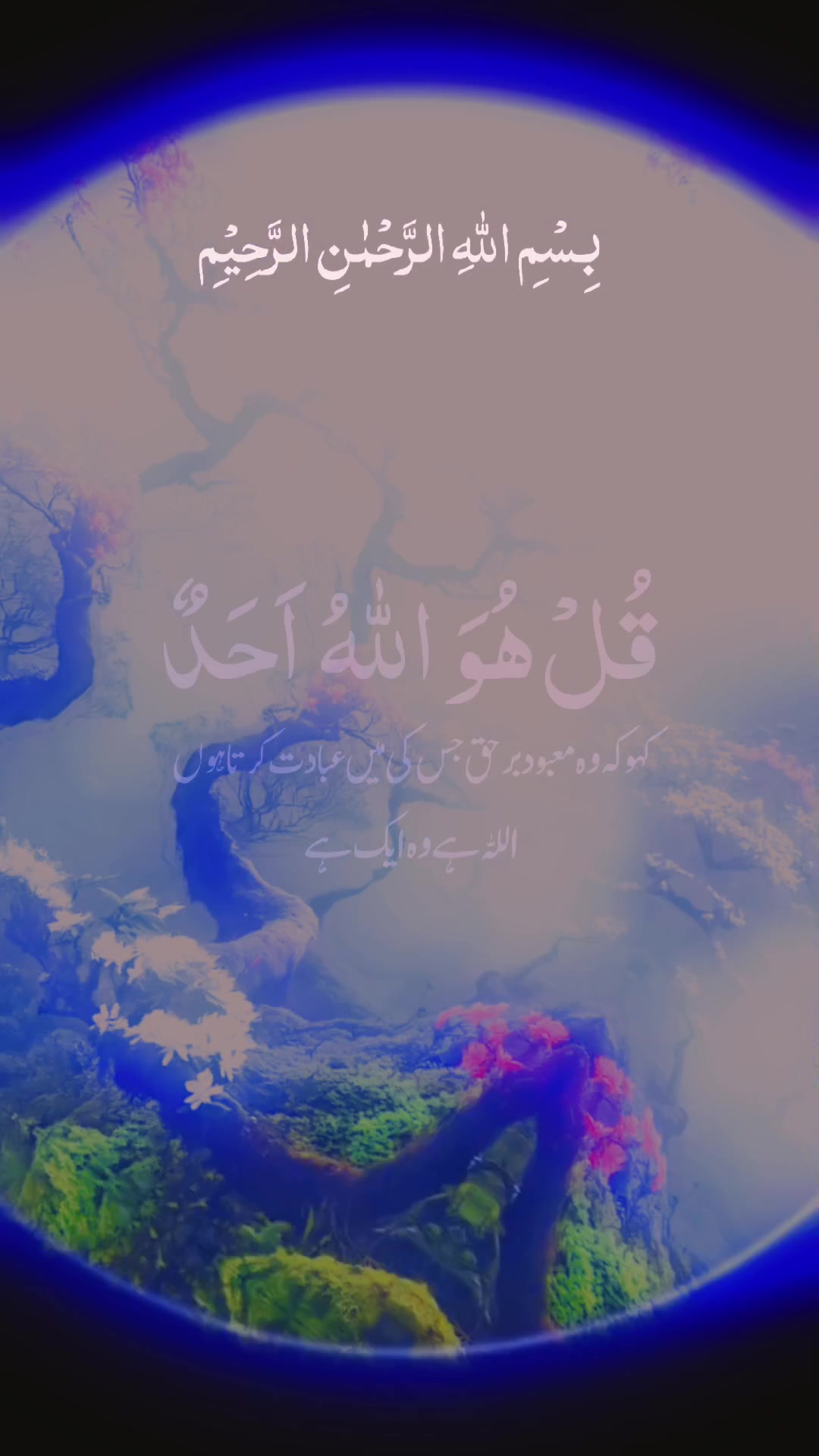 @allah waly