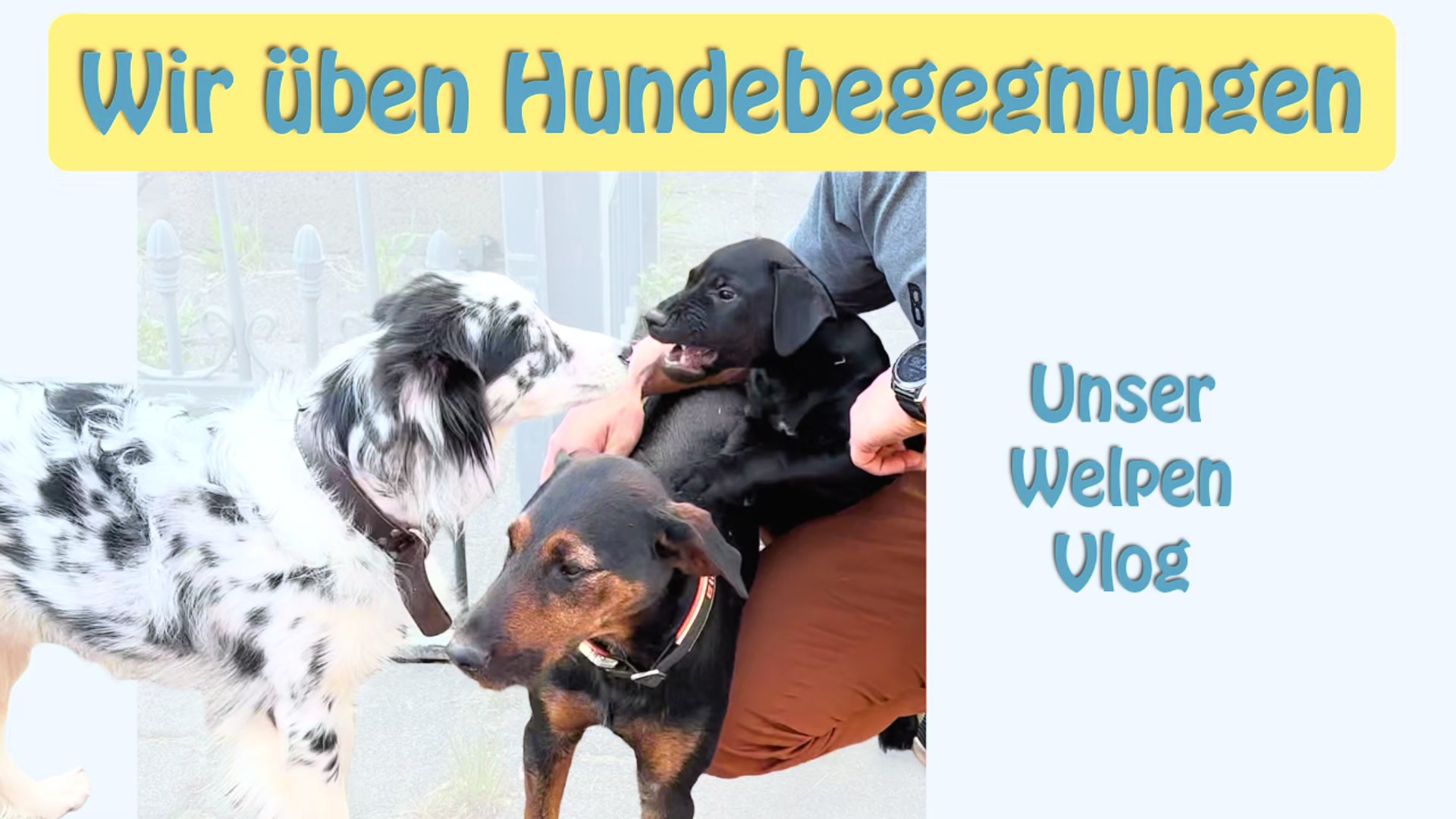@Urs von Vergiss die Leine