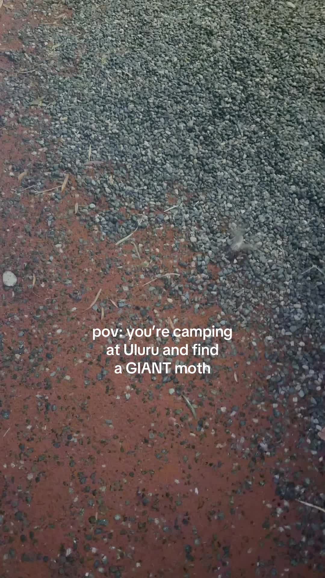 @Eleanor 𖦹 hiking & camping