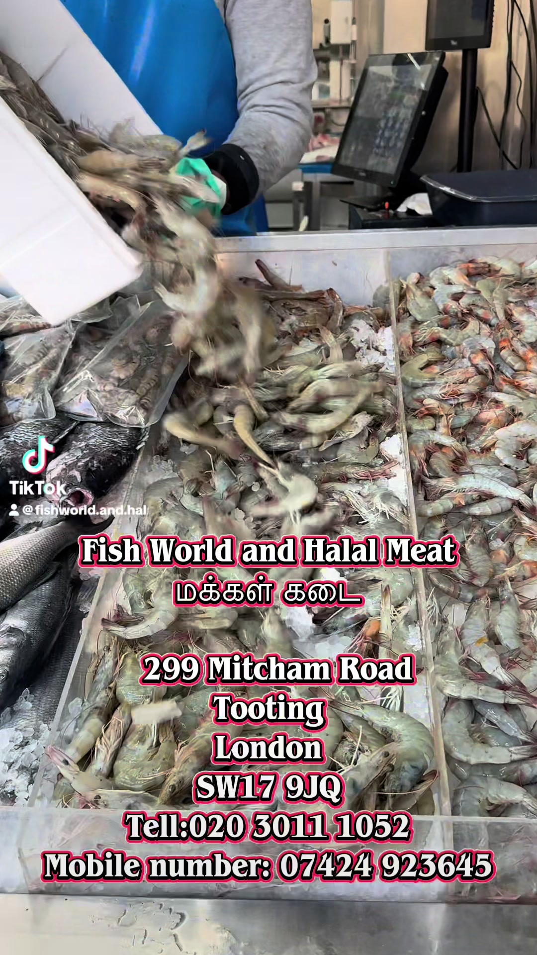 @Fishworld and Halal Meat