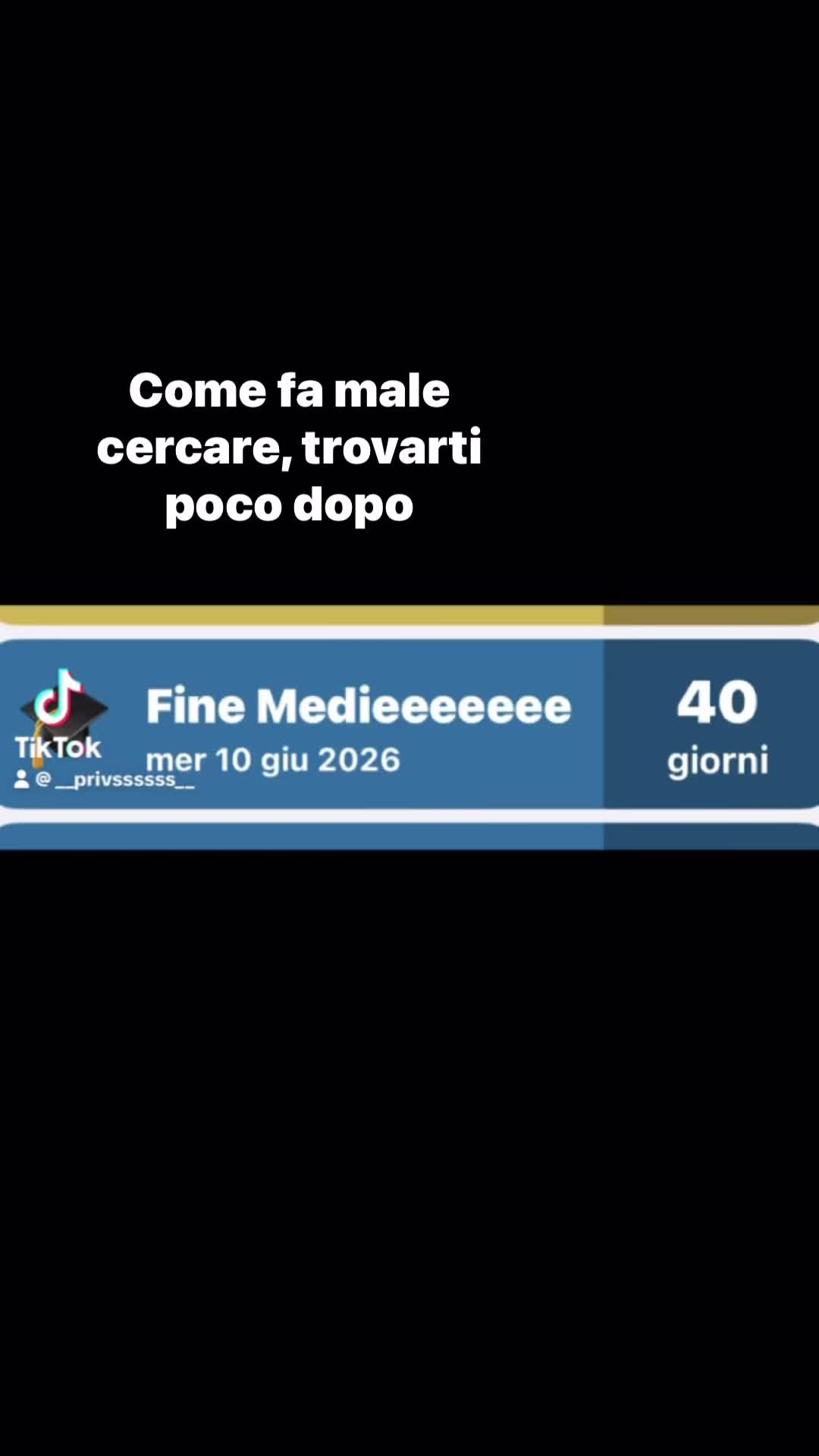 @fantastichee🪩🩶