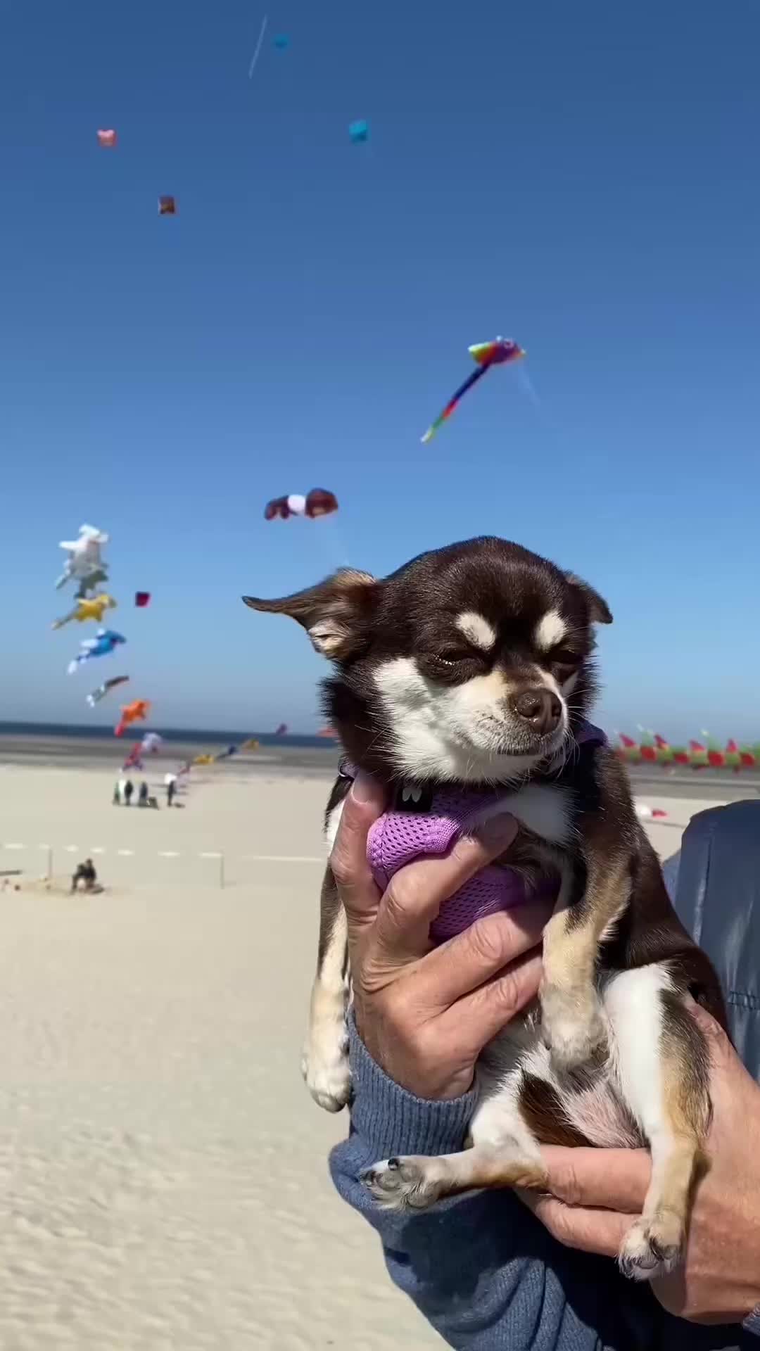 @Mariecandy54❤️
