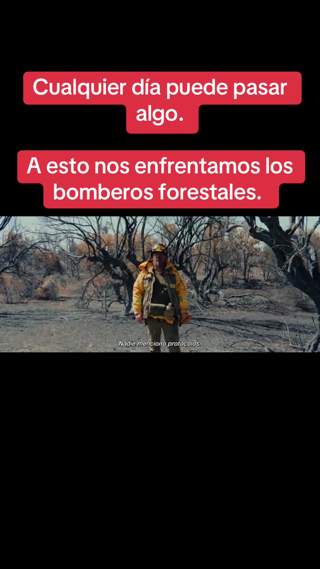 @Bombero Forestal