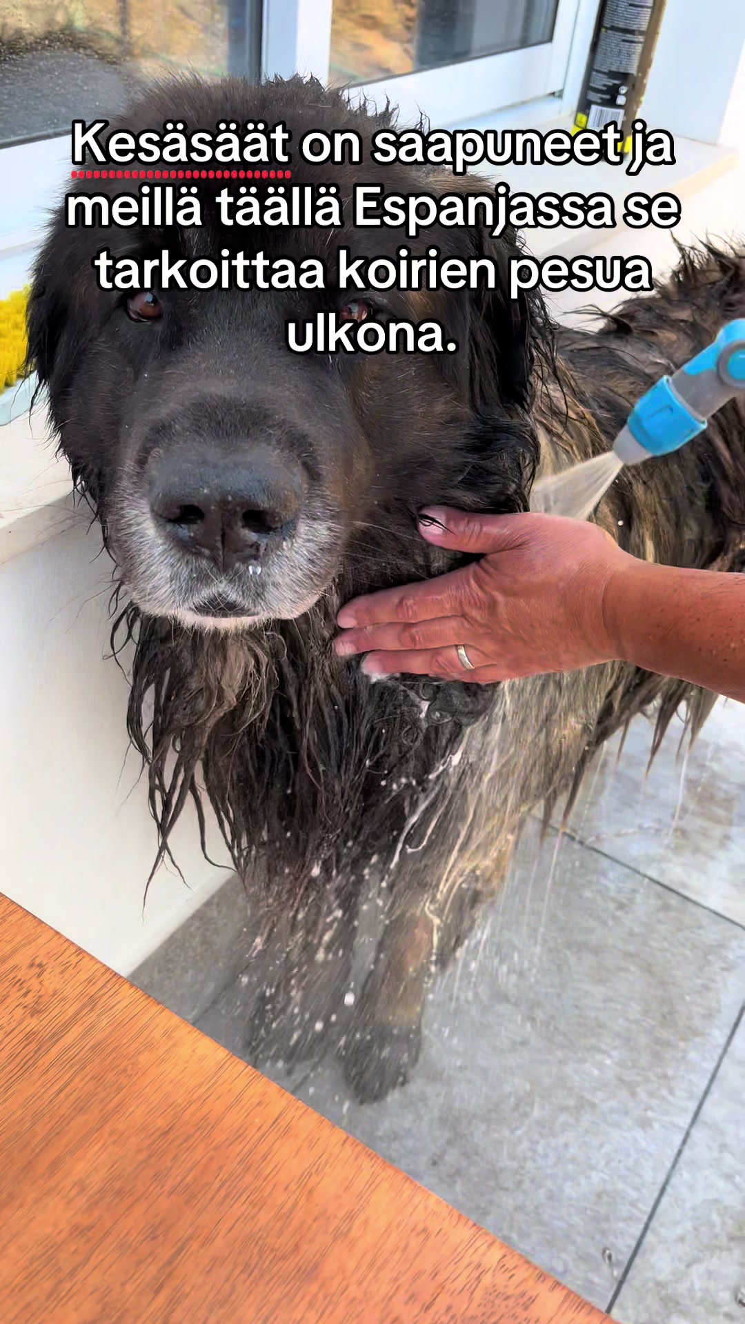 @Espanjantuulessa