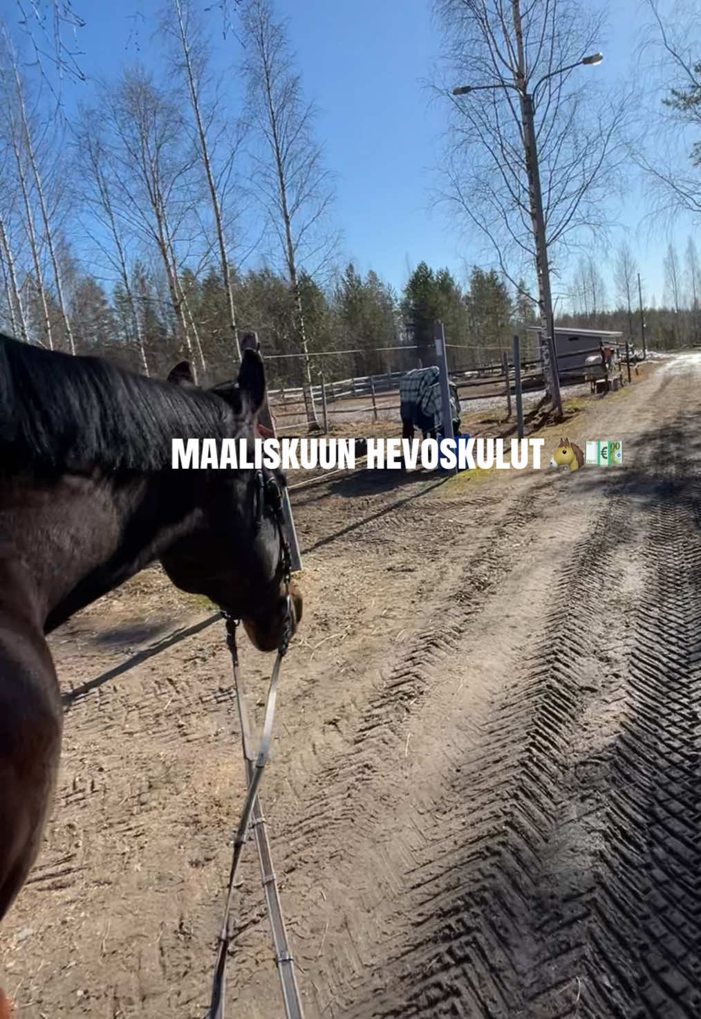 @krista || ig kayhkodressage