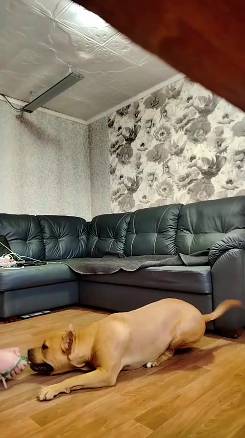 @Александр
