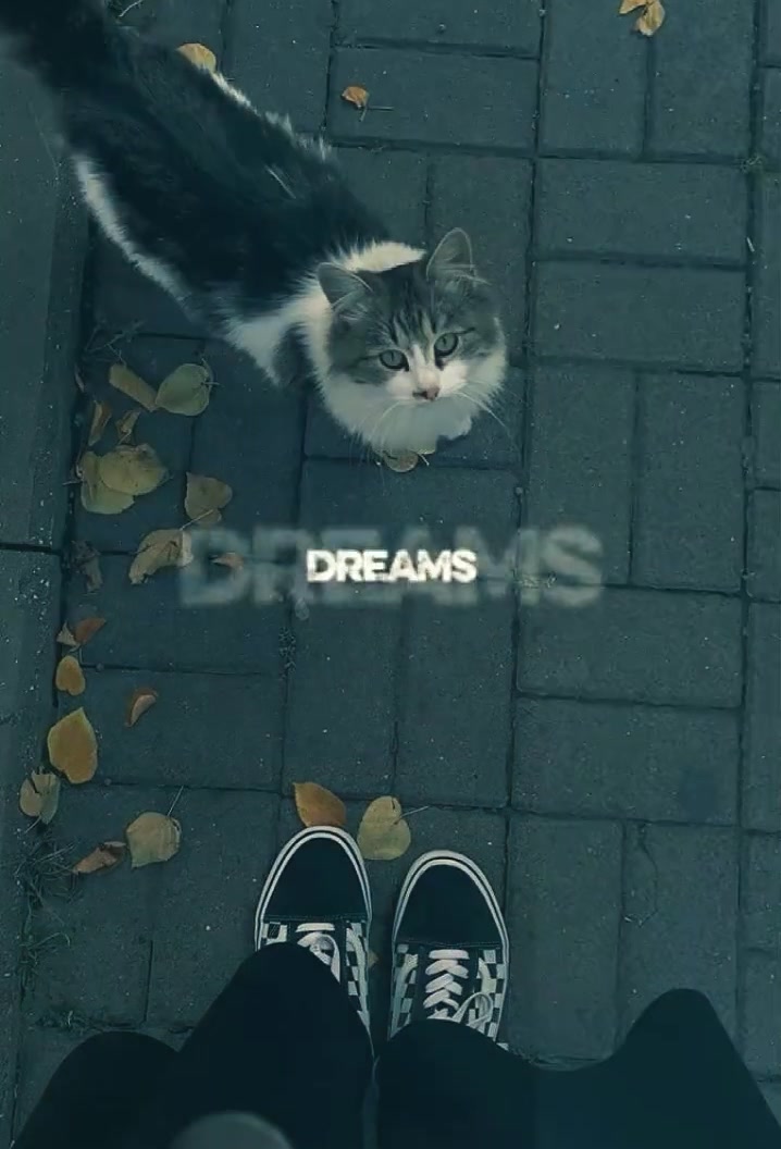 @Lyricslocator