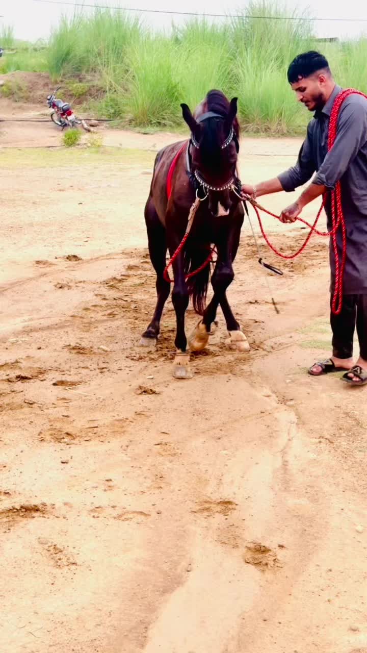 @𝗗𝟰𝗪𝗜𝗜